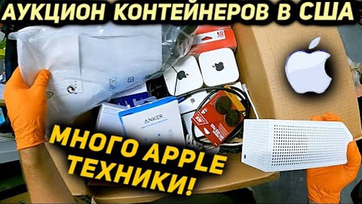 Контейнеры сша аукцион вайс. Малибу в контейнере сша.