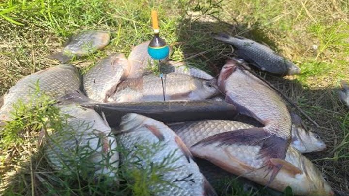 На что ловить рыбу в конце сентября
