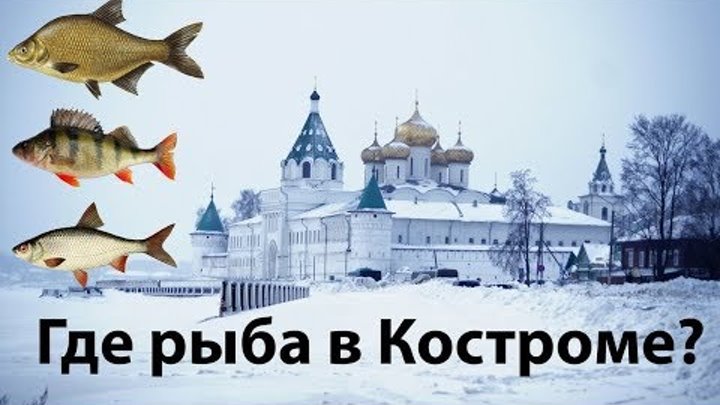 Озеро каменик костромская область. Костромская рыба. Рыбалка в костроме. Промысловая рыбалка. Рыбы костромских водоемов.
