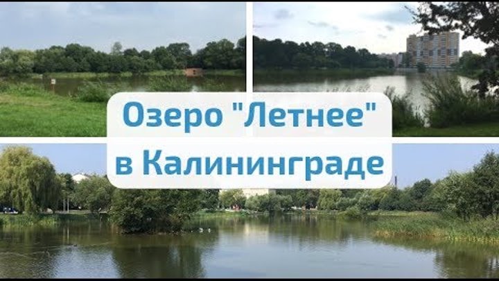 Летнее озеро калининград карта