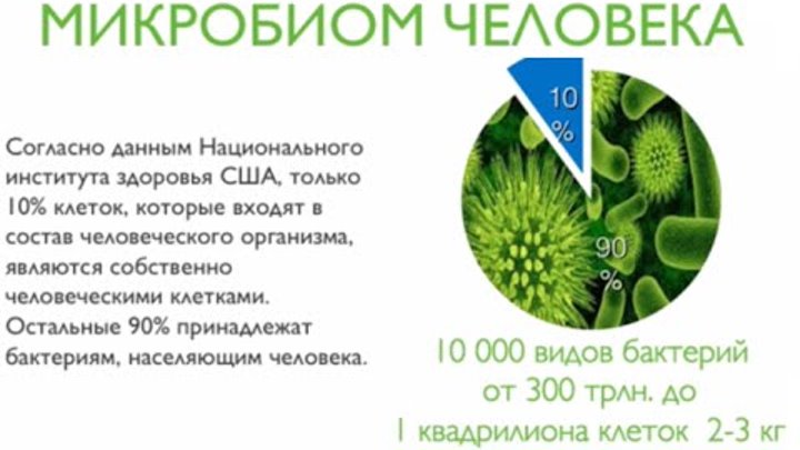 Бактериальный микробиом не соответствует норме. Микроорганизмы в человеческом организме. Микробиом. Микробиом кожи человека. Микробиоа микробиом виробиота.