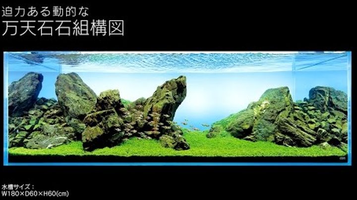 Adaview 180cm水槽レイアウト 万天石石組構図編