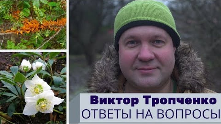 Виктор Тропченко ландшафтный дизайнер