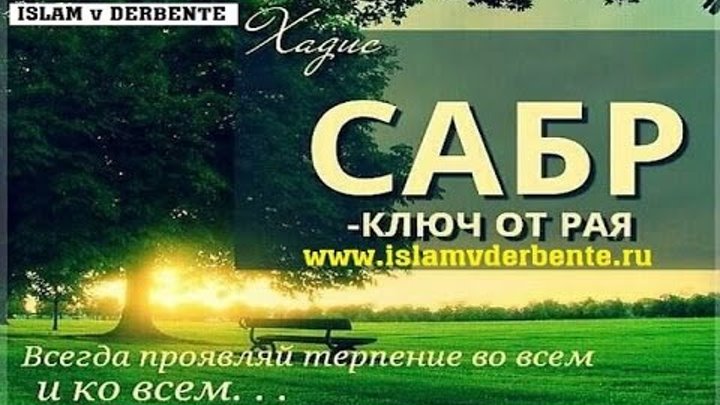 сабра в исламе. сабра в исламе. сабра в исламе. логотип сабр. сабра в исламе.