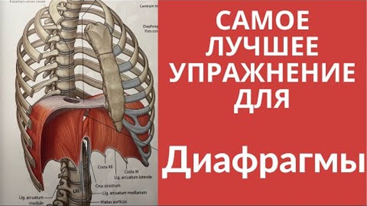 Как снять спазм с диафрагмы самостоятельно Разина Фаттахова-Саляхутдинова - Заметки OK.RU