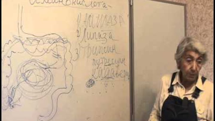 Марва оганян 21 день схема. Марва Оганян очищение. Лекции в Одинцово Марва Оганян. Оганян большая лекция. Лекций о здоровье Марва Оганян.