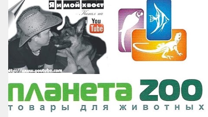 Планета Zoo Интернет Магазин