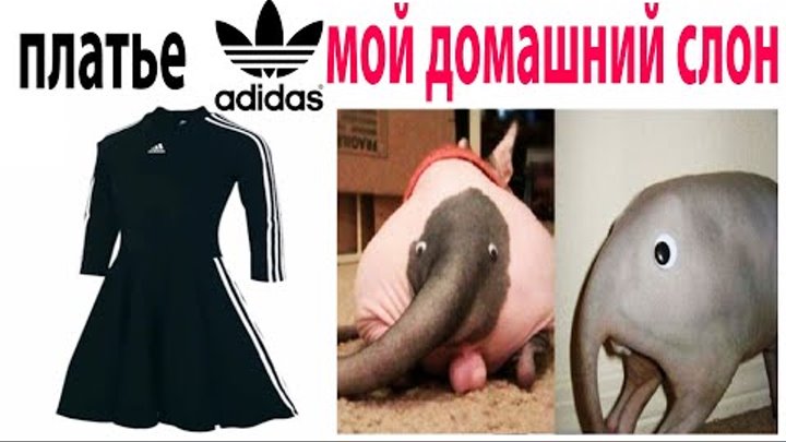 Как называется новый мем Дорогие любители собак! ПОДПИСЫВАЙТЕСЬ на мой канал "Ирина... Интересный контент
