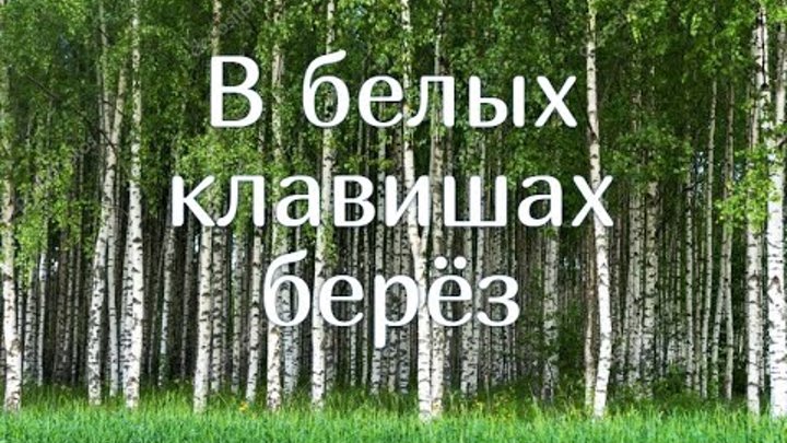 белая березка деревня. березовая роща барнаул лето. осиновая роща березовая роща. роща. природа башкортостана.