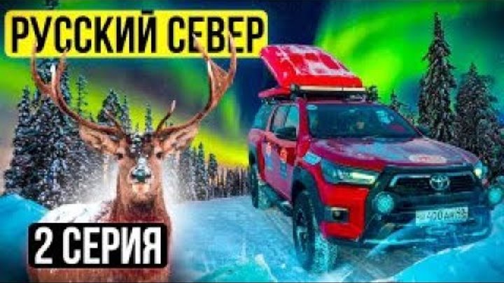 Экспедиция в зимнем лесу
