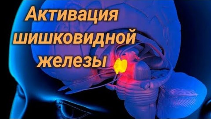 шишковидную железу. активация третьего глаза. упражнение колокол для активации шишковидной железы. шишковидная железа (эпифиз). выявлено: активация шишковидной железы за сорок пять минут.