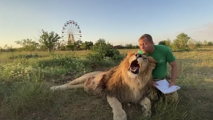 Тайган с денисом алексагеным дзен. Семья алексагиных тайган. Тайган с денисом алексагеным дзен. Тайган с денисом алексагеным дзен. Тайган с денисом алексагеным дзен.