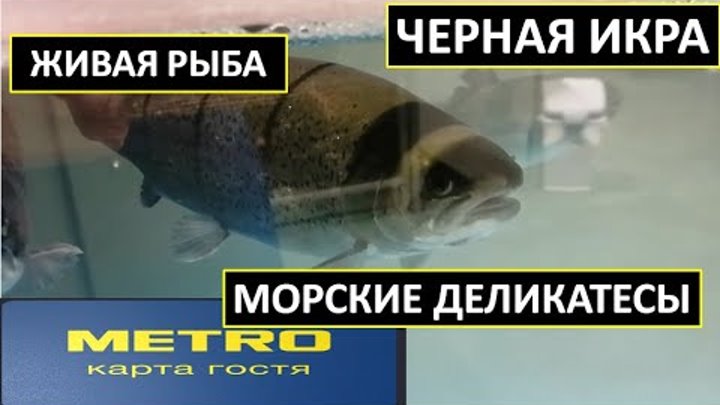 Рыба в магазине метро