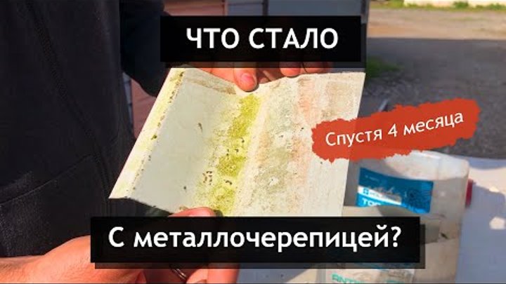 Канал СКС на Youtube