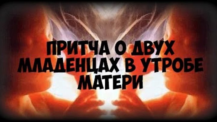 Притча про младенцев в утробе. Притча о младенцах в утробе. Притча о двух младенцах. Притча о младенцах в утробе матери. Притча о двух младенцах в утробе.