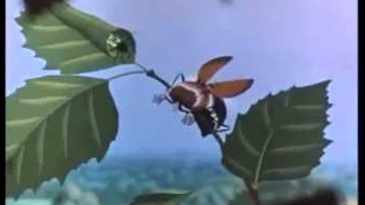 Эх молодежь жук картинка