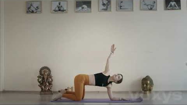 разнообразные видеоуроки йоги на ноутбуке