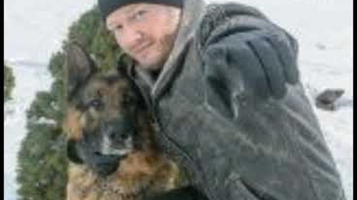 Пёс 6 сезон 9 серия. Пес 6 дата выхода. Сериал пёс 6. Игорь гнездилов сериал пес. Пёс сериал 2022 7 сезон.