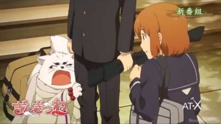 Tvアニメ ぎんぎつね Tvcm Gingitsune Silver Fox