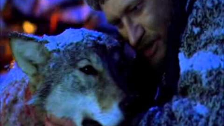 Песня волки говорят. Волки бяки караоке. Песня волки говорят. Одинокий волк караоке. Все мои волки делают ауф.