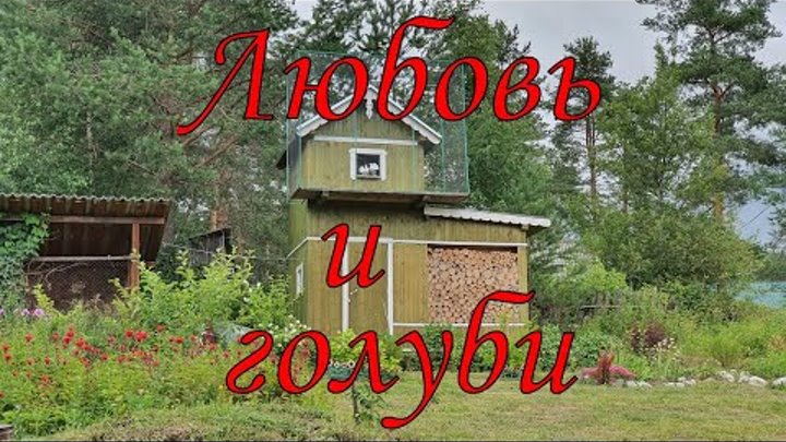 где снимали любовь и голуби на карте. медвежьегорск любовь и голуби. дом из фильма любовь и голуби. где снимали любовь и голуби на карте. медвежьегорск карелия любовь и голуби.