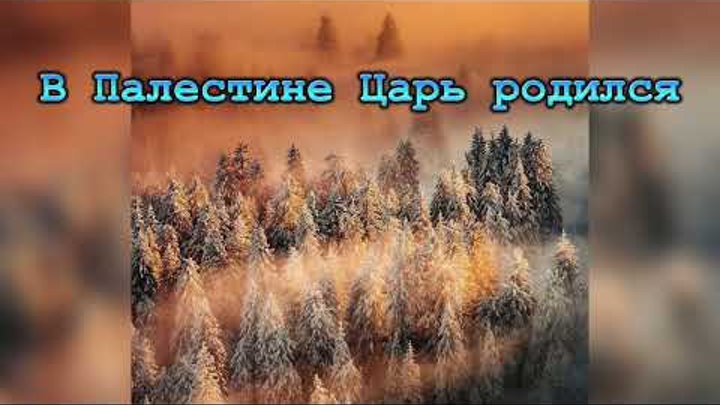 колядка ночь тиха над палестиной текст. в палестине царь родился текст. слова колядки эта ночь святая. ноты к христианским песням. было время в палестине ноты.