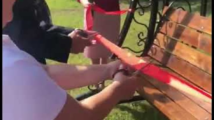 открытие скамейки. скамейки из пензы. открытие скамейки. лавка в лесу. открыли скамейку.