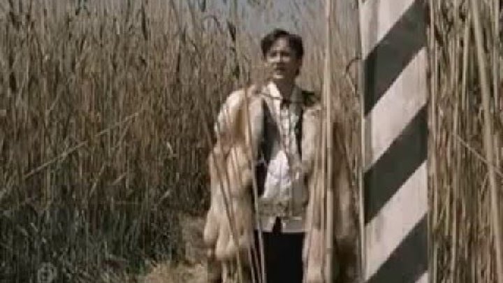 бранзулетка золотой теленок. какую границу переходил бендер. какую границу переходил бендер. остап бендер на румынской границе. какую границу переходил бендер.