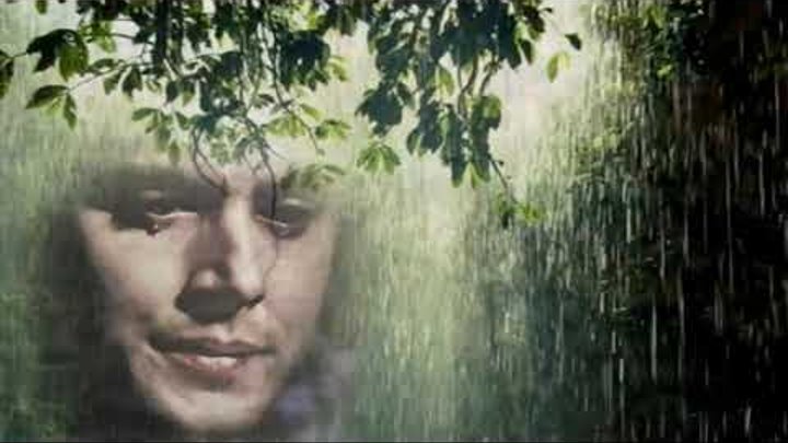 песня рекой течет судьба моя слушать. тимур рахманов судьба. рекой течет судьба моя ютуб. тимур рахманов рекой течет. тимур рахманов - рекой течет судьба моя.