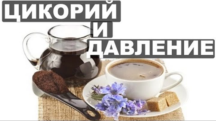 Цикорий повышает или понижает давление у человека. Цикорий снижает давление или. Цикорий повышает или понижает давление у человека. Цикорий и давление повышает или понижает давление. Цикорий от давления.