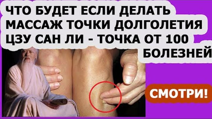 Точка цзу сань ли относится к каналу Желудка, который проходит через все тело