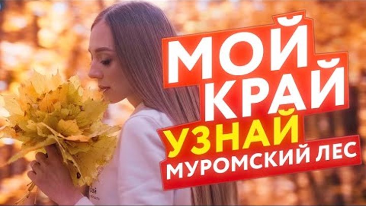 Песня муромские леса. Песня муромские леса. Песня муромские леса. Песня муромские леса. В заповедных и дремучих страшных муромских лесах слушать.