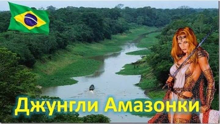 И вода в джунглях амазонки. Лоджа эликония. Где джунгли. Дождевой лес сельва. Амазонка река лес.