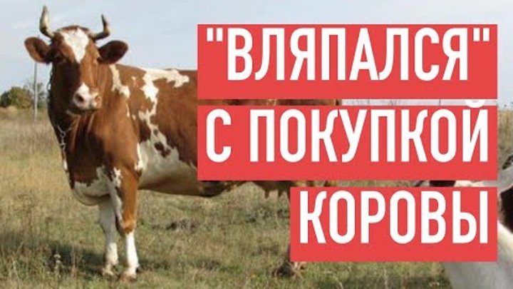 Павел моторный ютуб