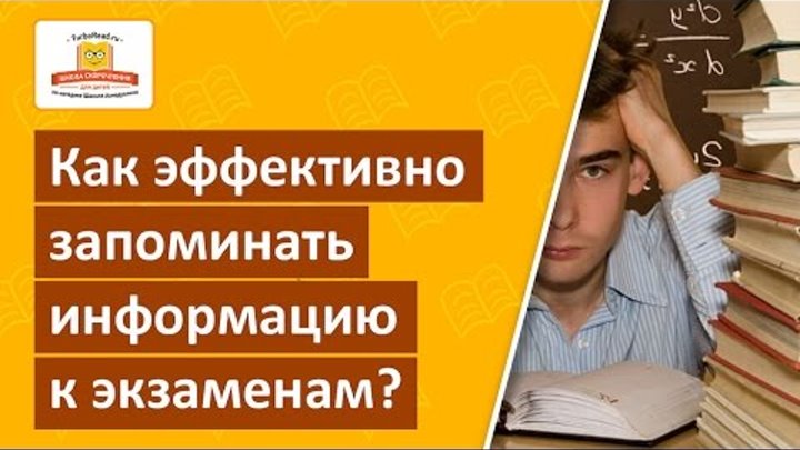 Как эффективно выучить билеты