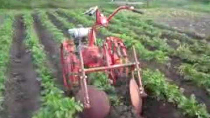 Как окучивать окучником. Как окучивать окучником. Трицикл окучивание картофеля. Как окучивать окучником. Ручной дисковый окучник для картофеля.