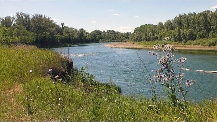 Река Сакмара Оренбург