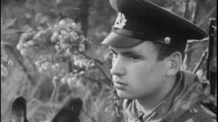 Песня и вновь пограничную службу несем. И вновь пограничную службу несем. Песня о пограничнике. Костомукша пограничная служба. Тусхарой 28 мая.