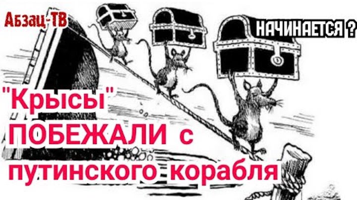 Путин крыса картинки