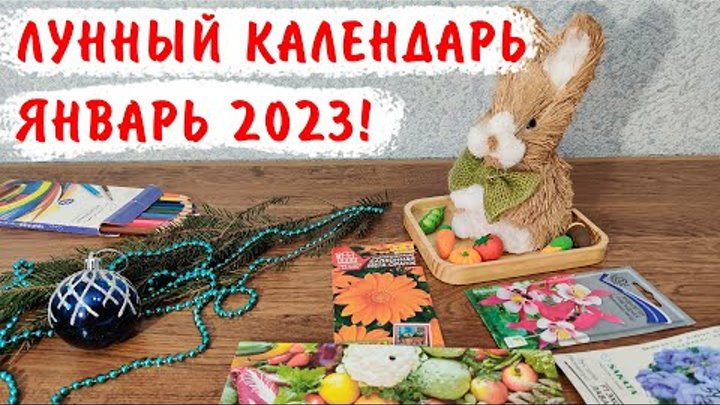 Календарь садовода на январь 25
