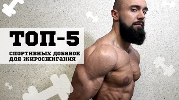 Топ 5 спортов. Макс Ковтун бодибилдинг бородатый кач. DARKFIT.