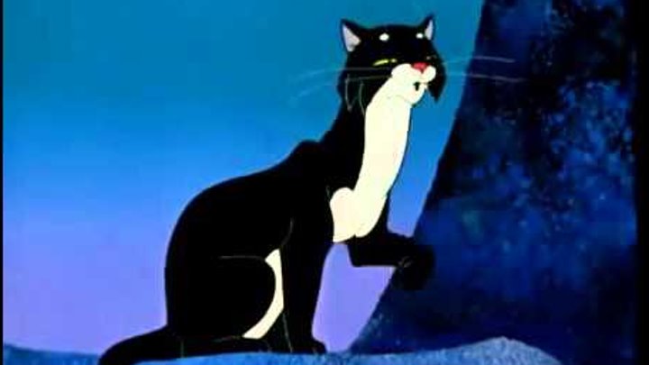 кошка сама по себе черная. я гуляю сама по себе. гуляю сам. карикатура на выгуливающего кота. кот который гулял сам по себе.