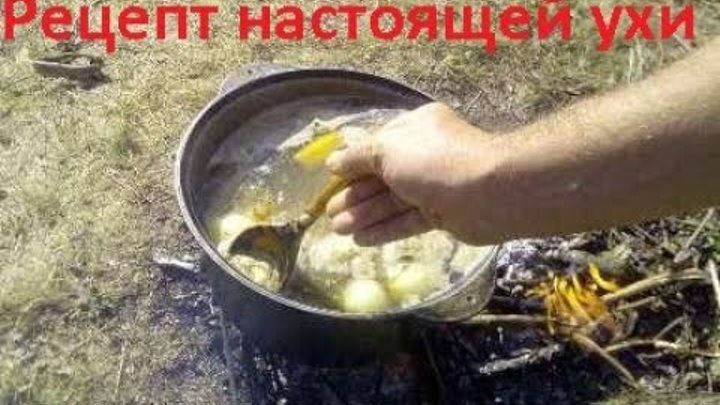 Уха из судака. Варим уху пошагово. Рецепты в инфографике супы. Уха из судака. Донская уха рецепт.