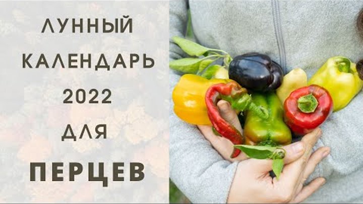 Календарь огородника посадки лунный на январь 2025