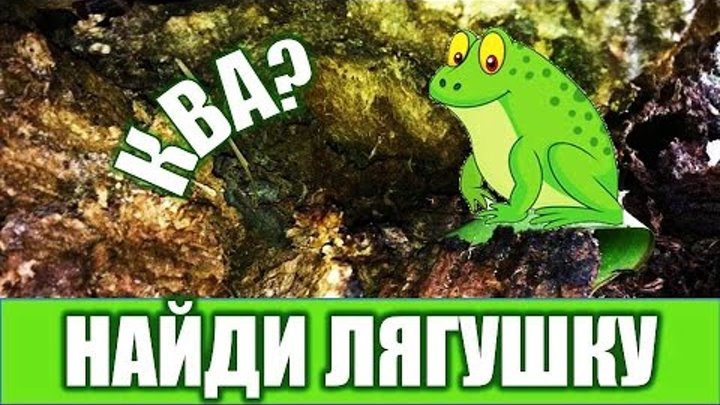 Головоломка найди лягушку среди листьев. Найди лягушку ответ. Головоломка найди лягушку среди листьев. Найдите лягушку. Найди лягушку в листиках.