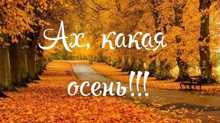 Милая осень минус. Милая осень минус. Песня осень милая шурши. Осень милая шурши текст. Милая осень минус.
