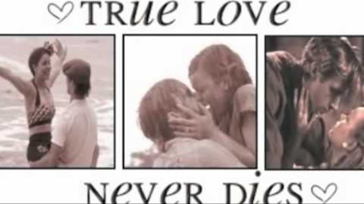 Love died перевод. I miss you гифки. Переводчик true love never dies. If an artist falls in love with you, you can never die but live forever. When someone.