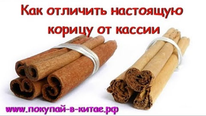 Как выглядит настоящая палочка корицы Елена Парфёнова - Заметки OK.RU