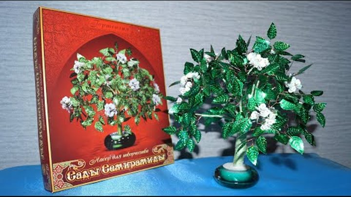 видео Моя выдумка