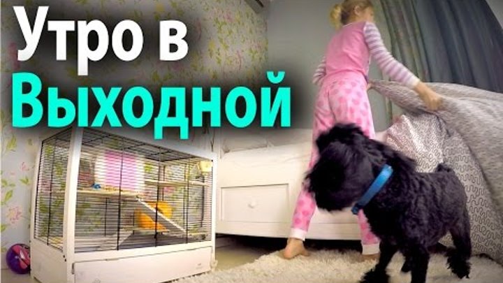Девушка утром. Уютного воскресенья. Уютная женщина. Мое утро. Мое утро выходного дня.